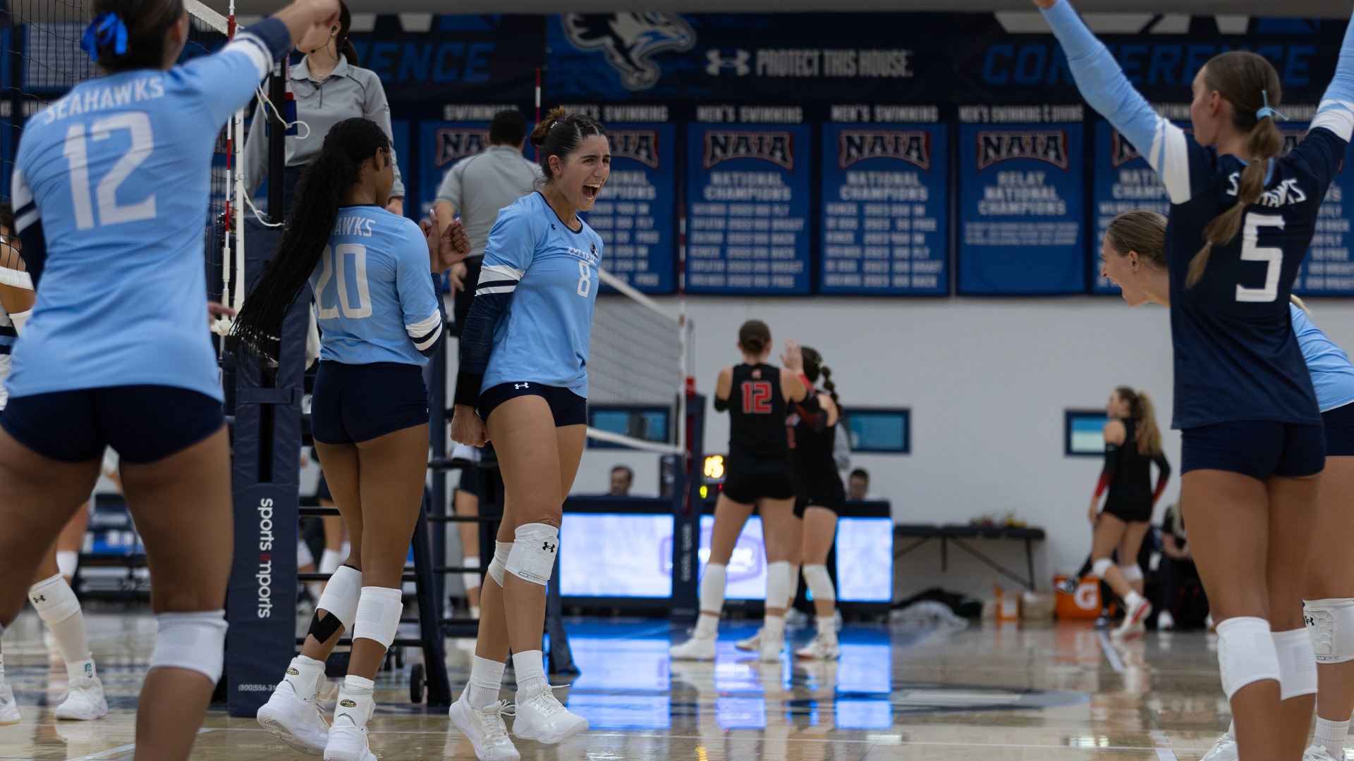 VB Celebration