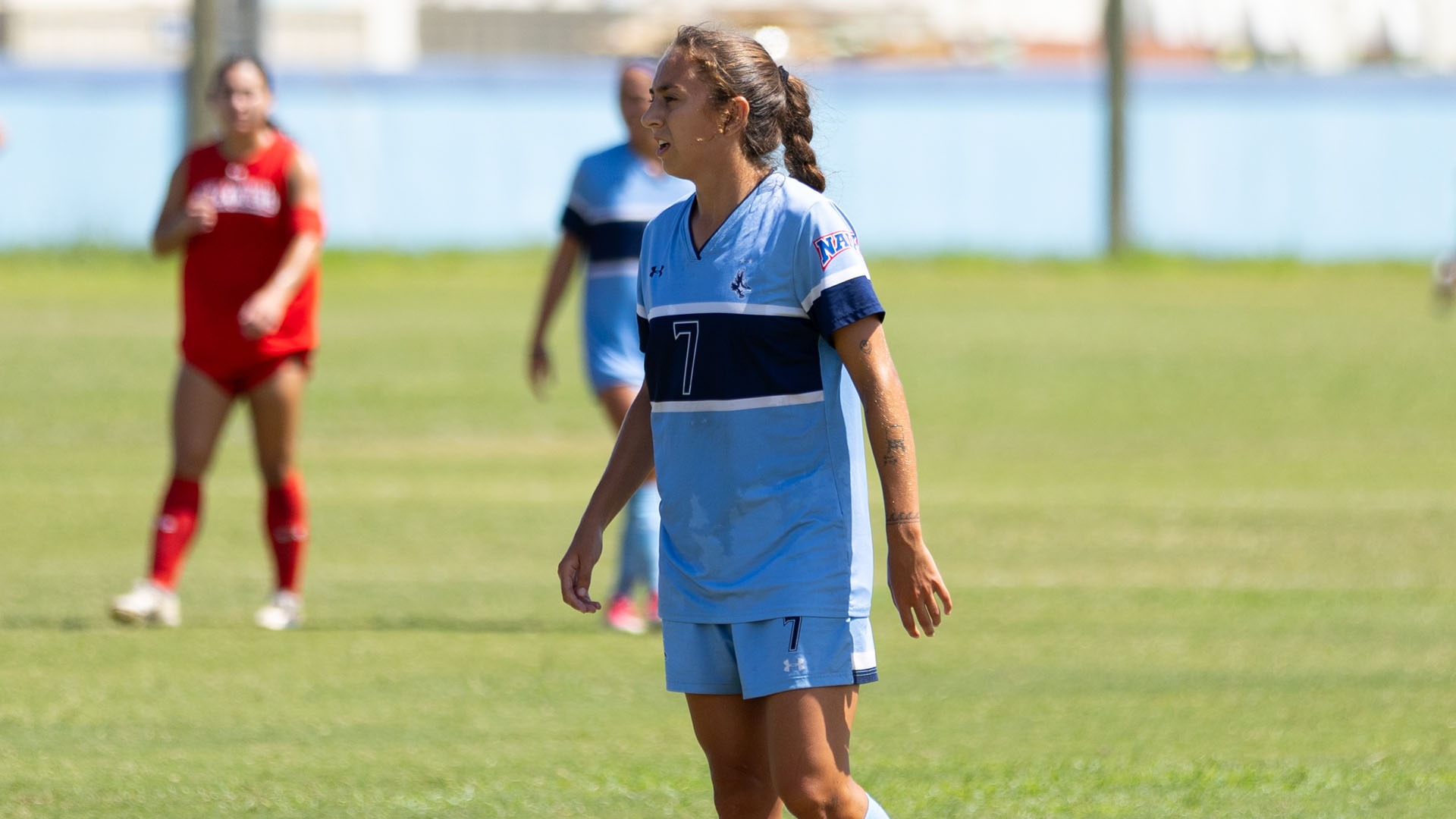 Avril Amil Ruiz action