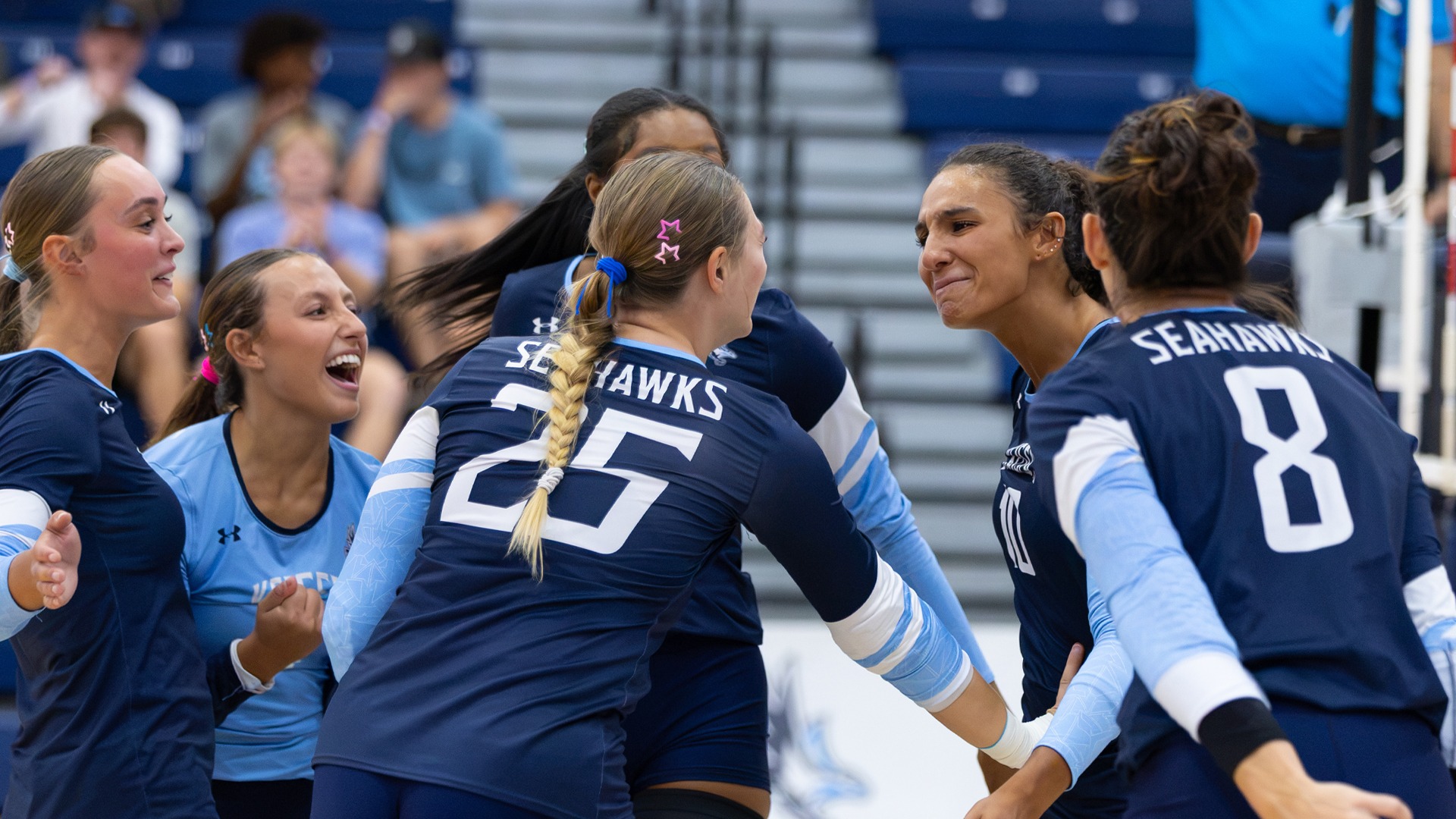 Volleyball Celebration (2026)
