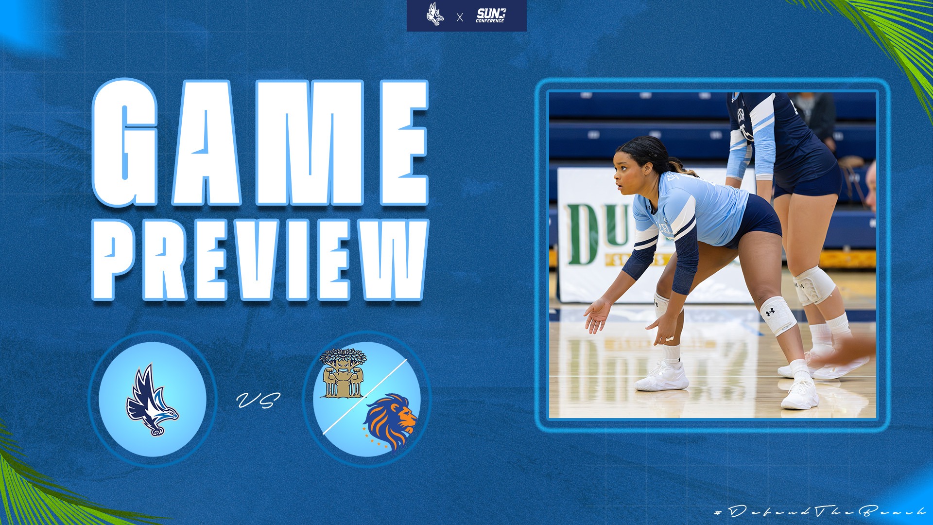 VB Preview vs FMU NCF