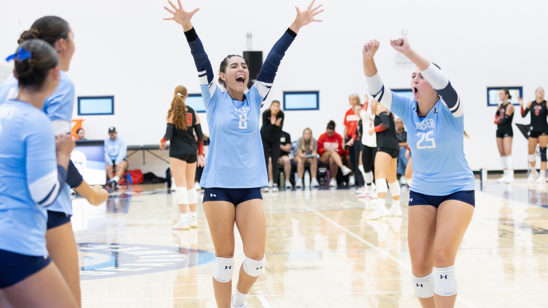 VB Celebration