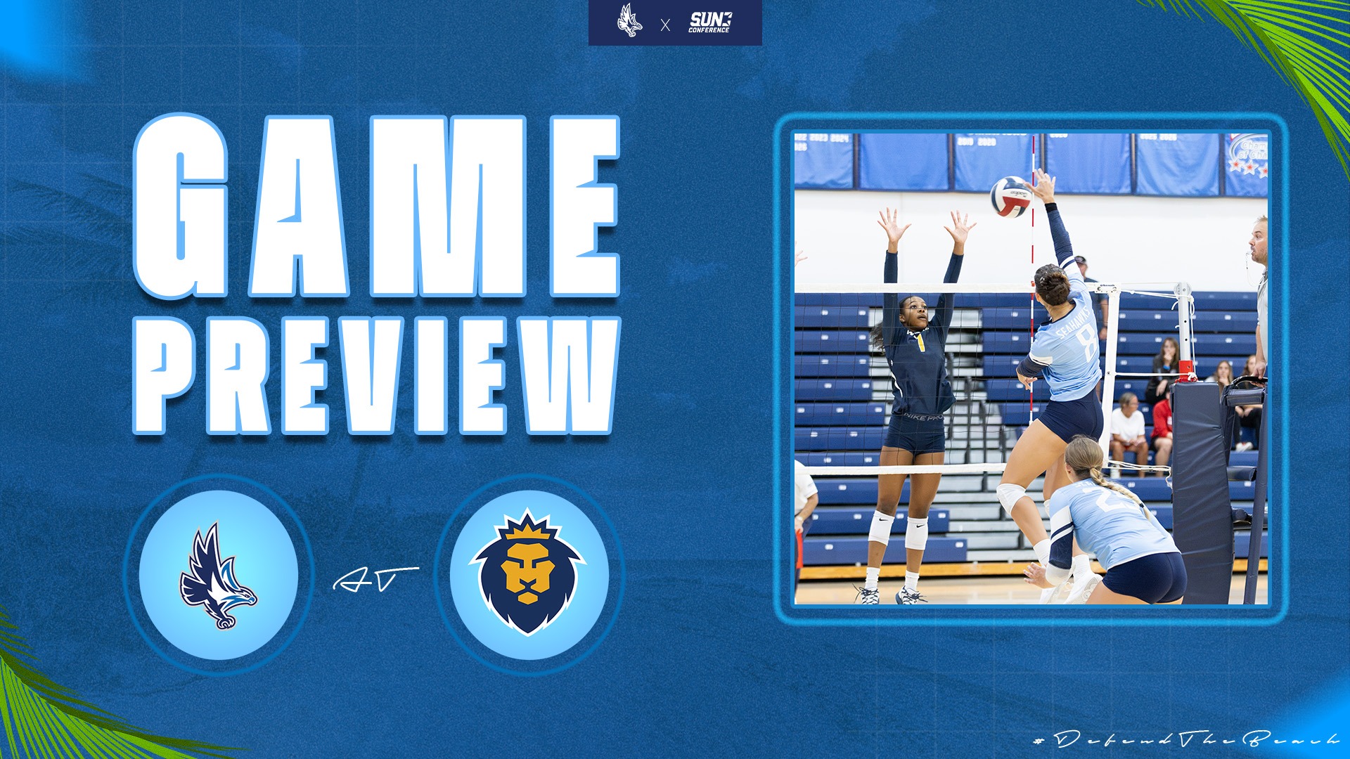 Preview VB Warner