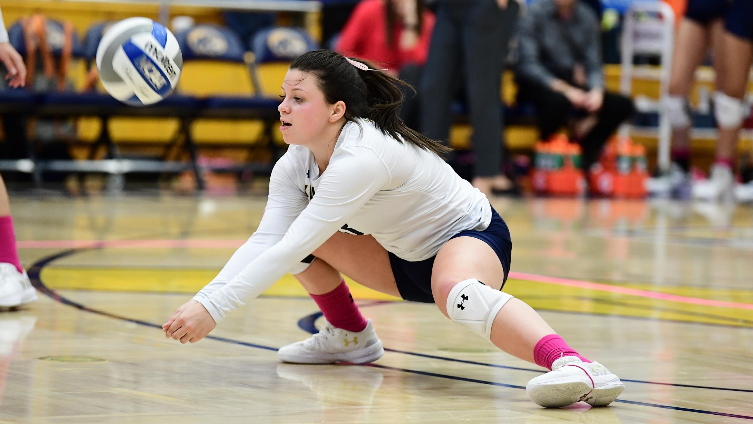 Erin Gardner Women's Volleyball Kent State Golden Flashes
