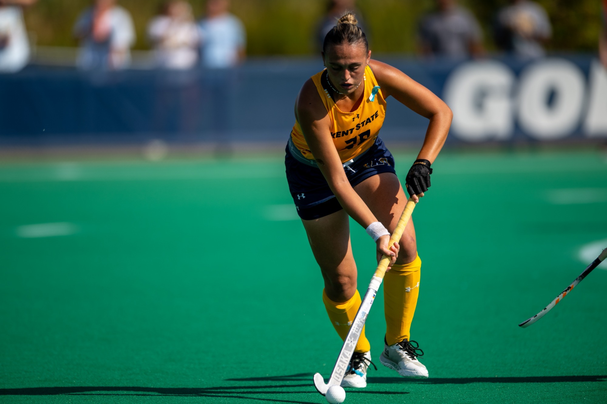 Two Pivotal MAC Matchups Up Next for Flashes Kent State Golden Flashes