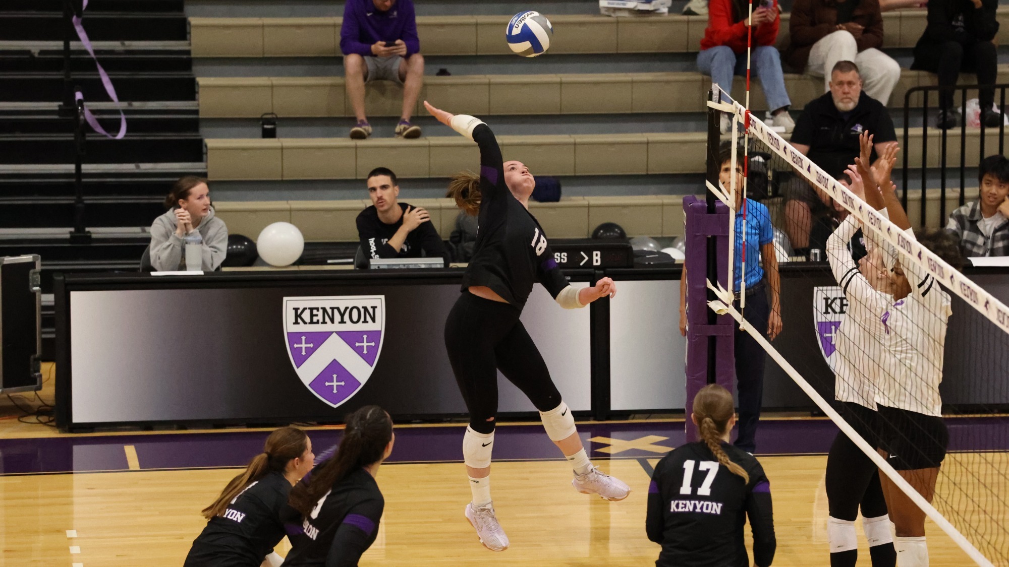 Veronese_Rumpca_Mariyah_5VB101725