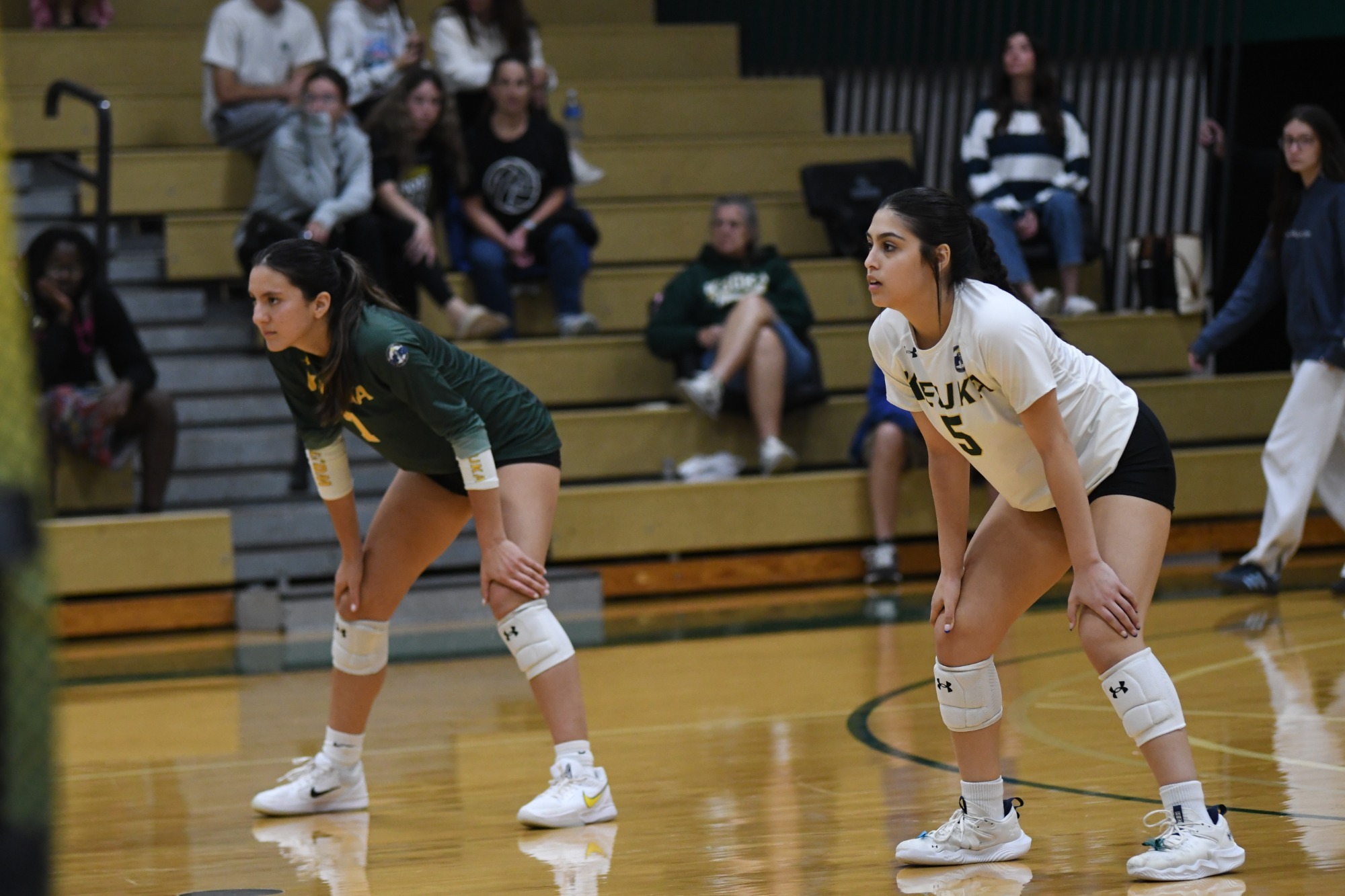 Castaneda & Rodriguez