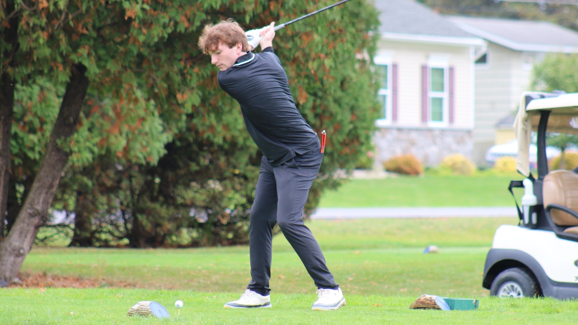 Paylor swing