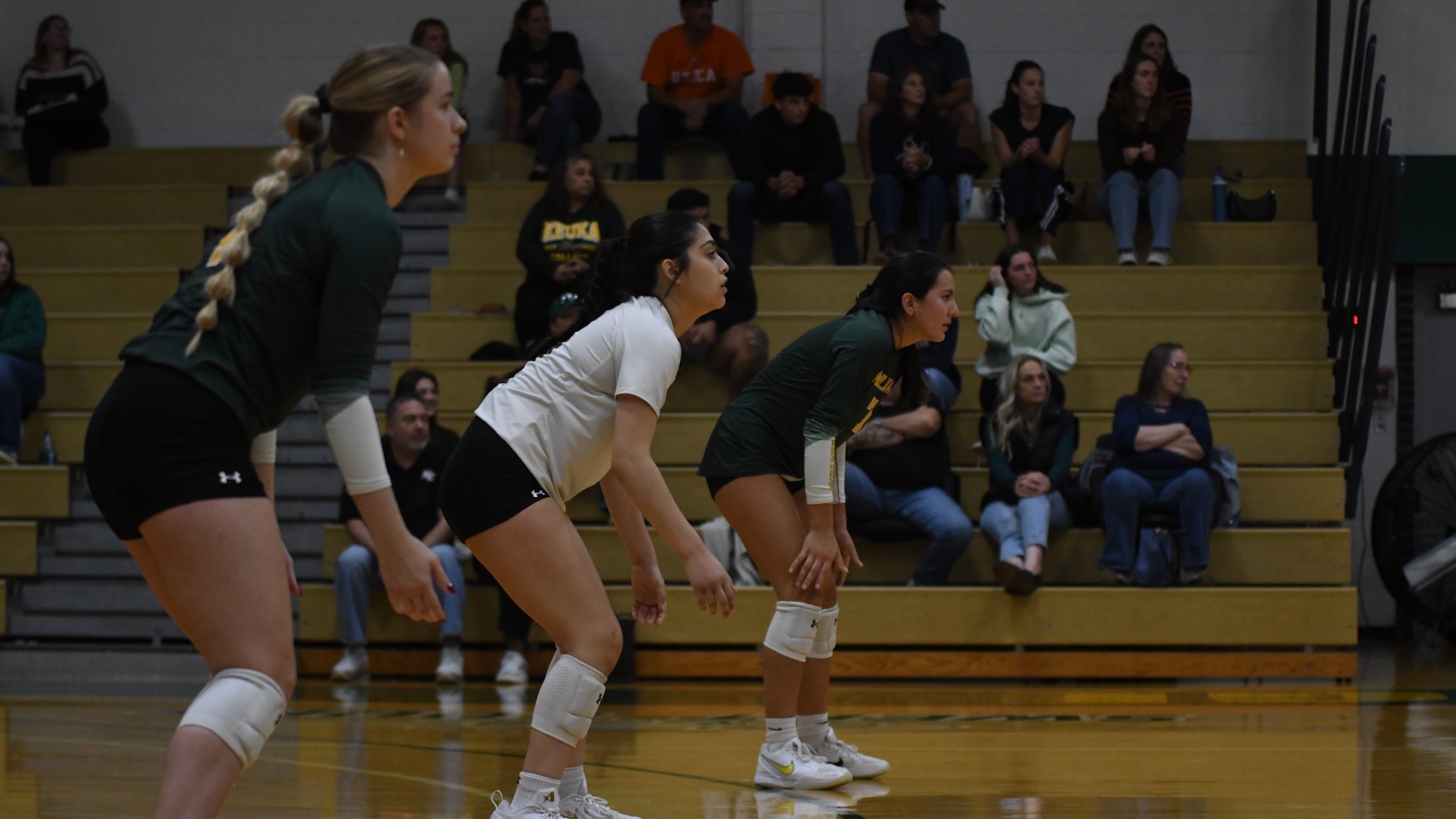WVB Team