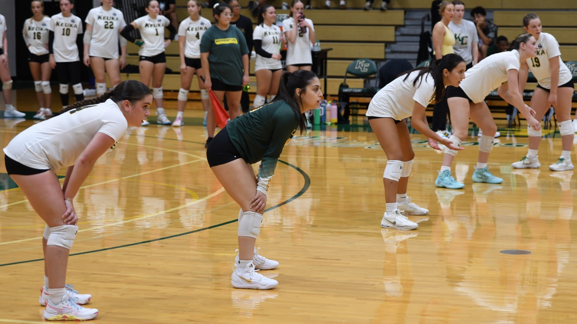 Serve Recieve