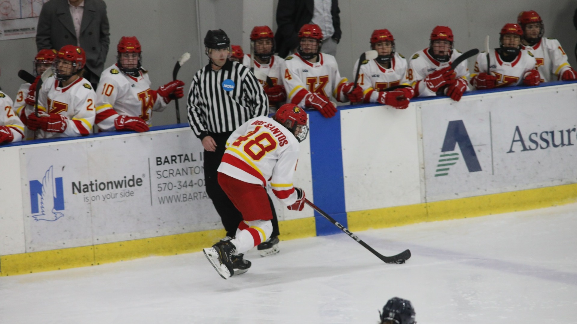 Women's Ice Hockey Falls 43 to Stevenson Despite Third Period Comeback