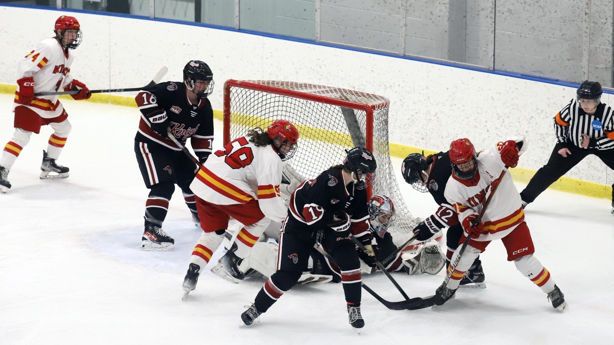 Stead, Vaughan, Sokol