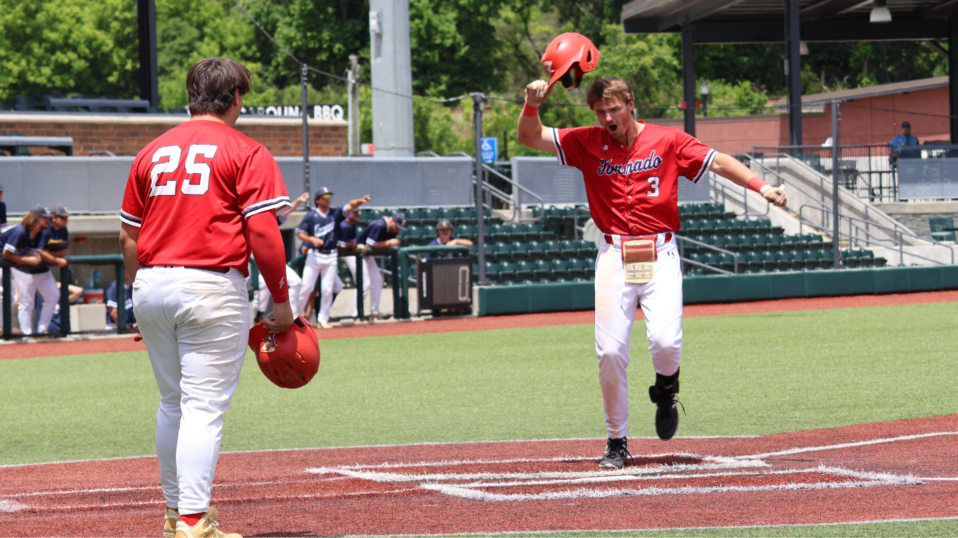 loganbaseball