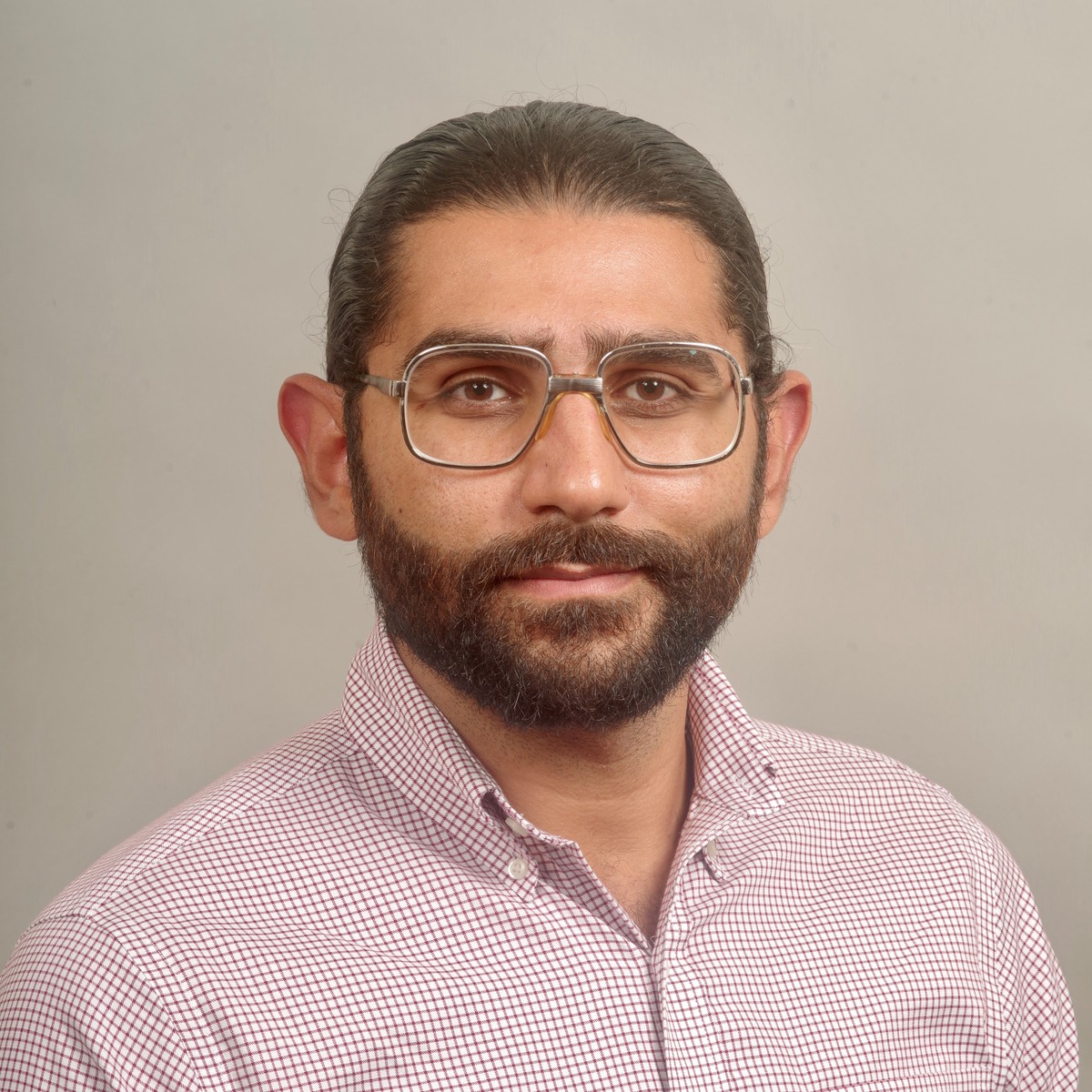 Amro M. Elsharoud