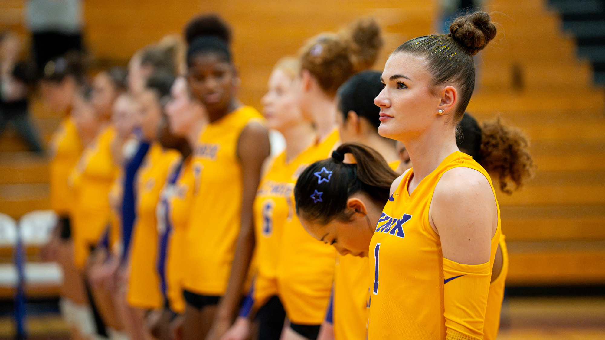 VB Team
