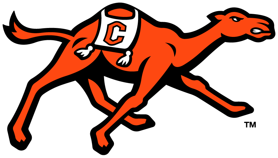 Opponent Logo