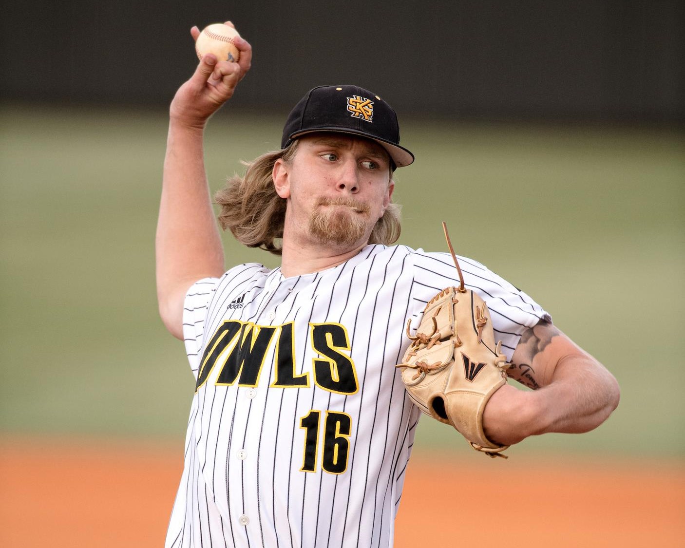Jared Rine Baseball Kennesaw State University Athletics