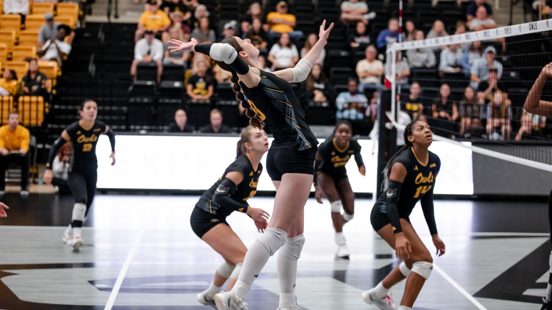 2023-volleyball-schedule-kennesaw-state-university-athletics