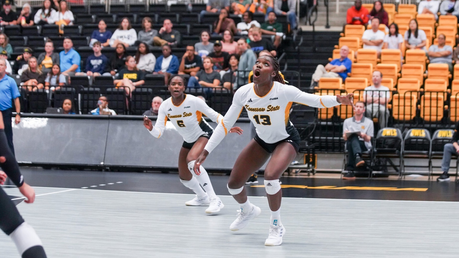 Manu Johnsen and Kourtney Brown