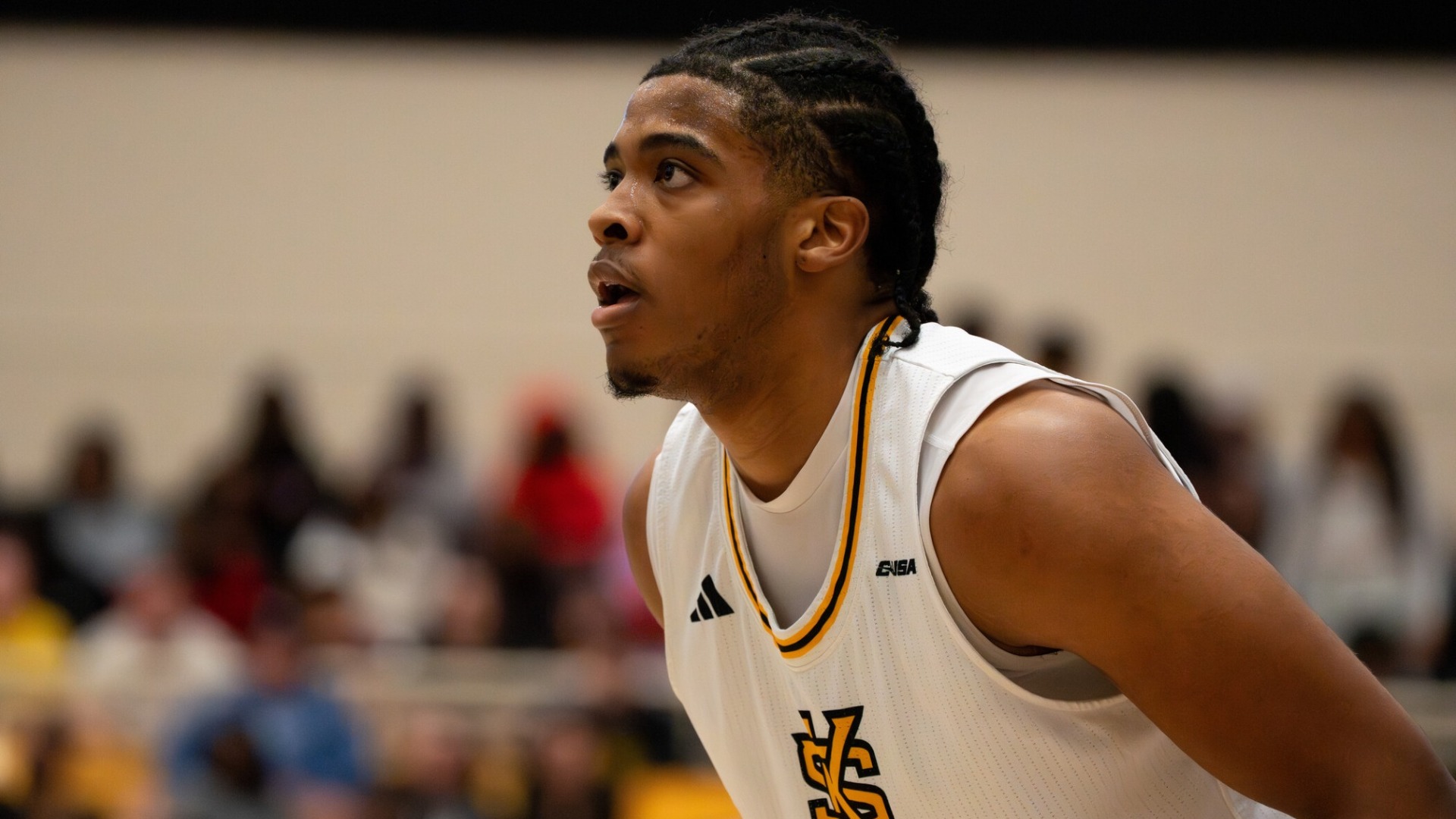 Ramone Seals vs Paine