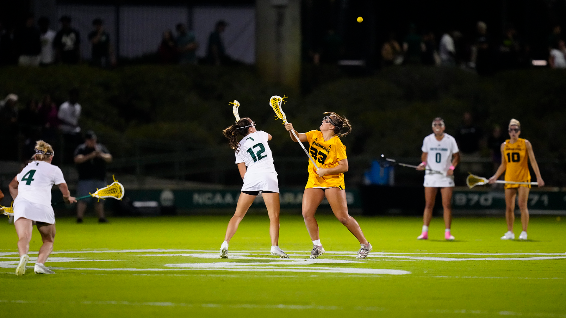 Owls at South Florida