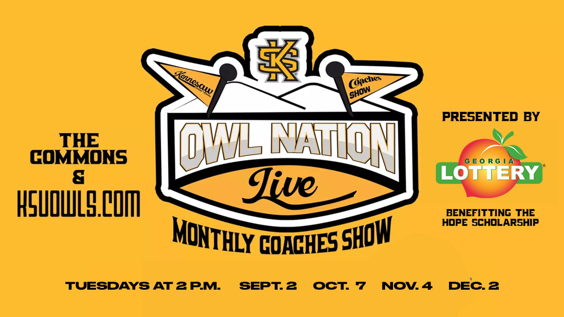 owl nation live