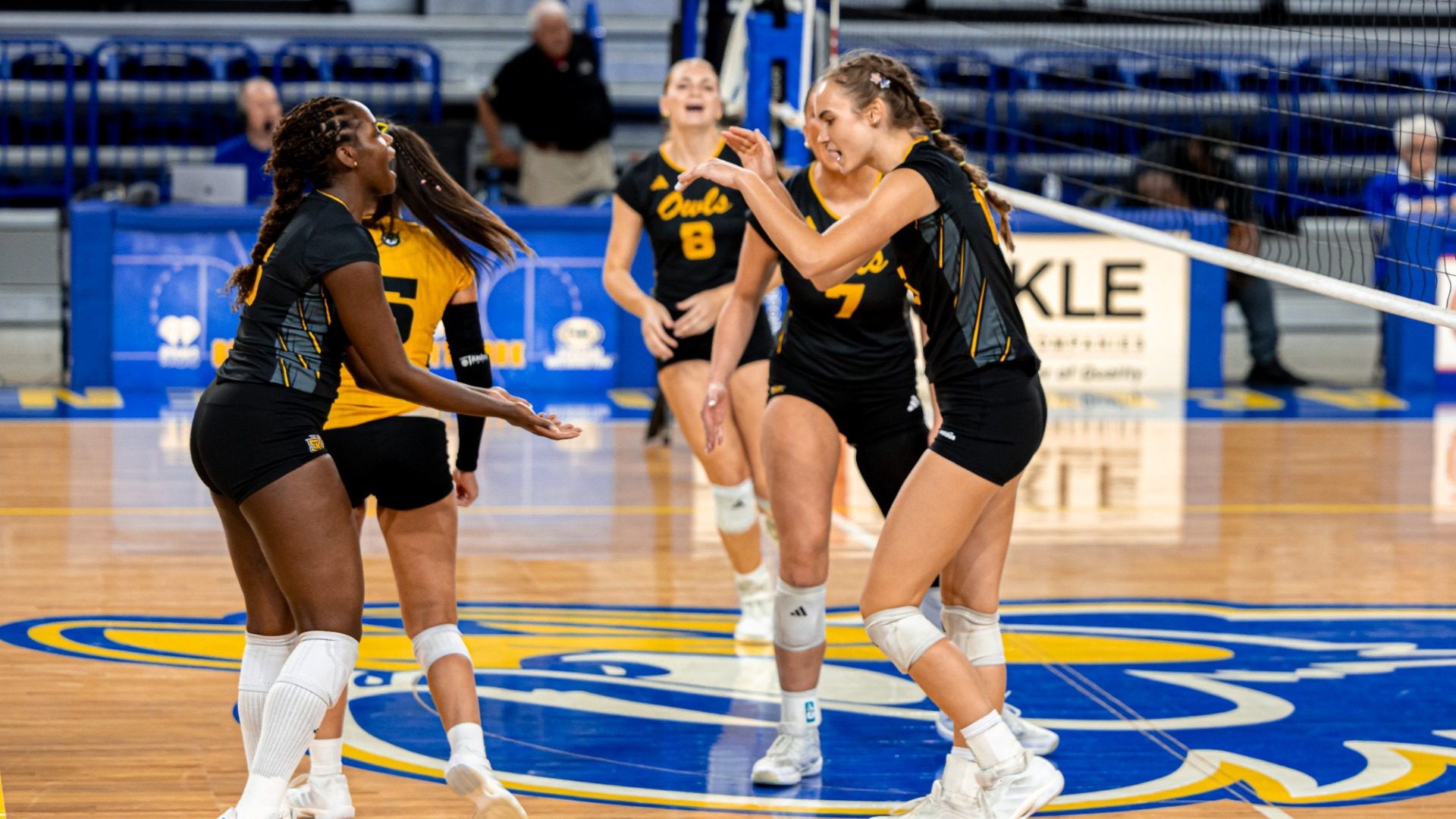 Owls at Delaware