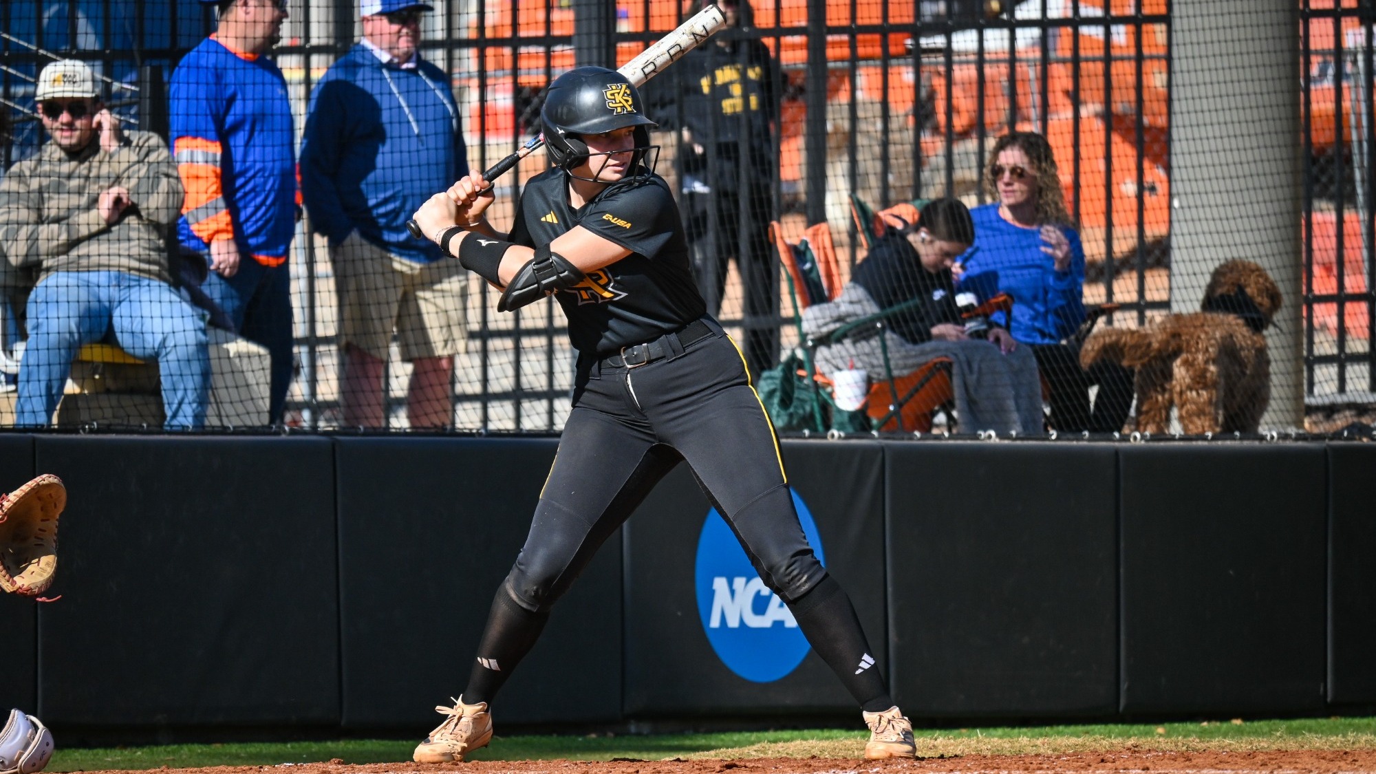 Macie Howes Georgia Highlands