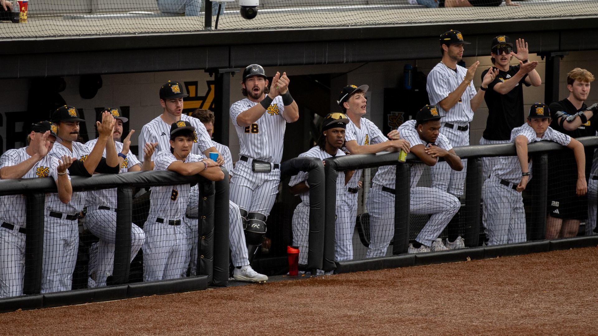 Team in dugout