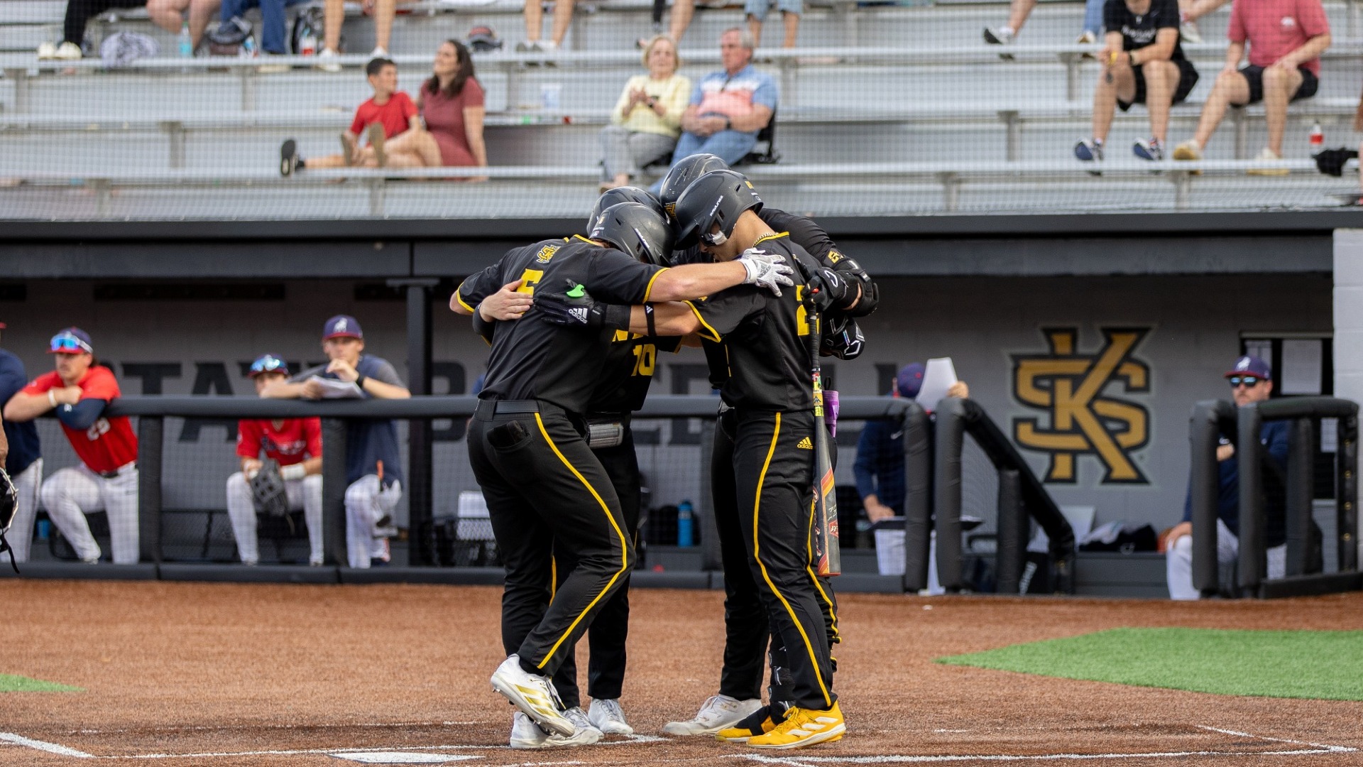 Home Run Celebration at the Plate