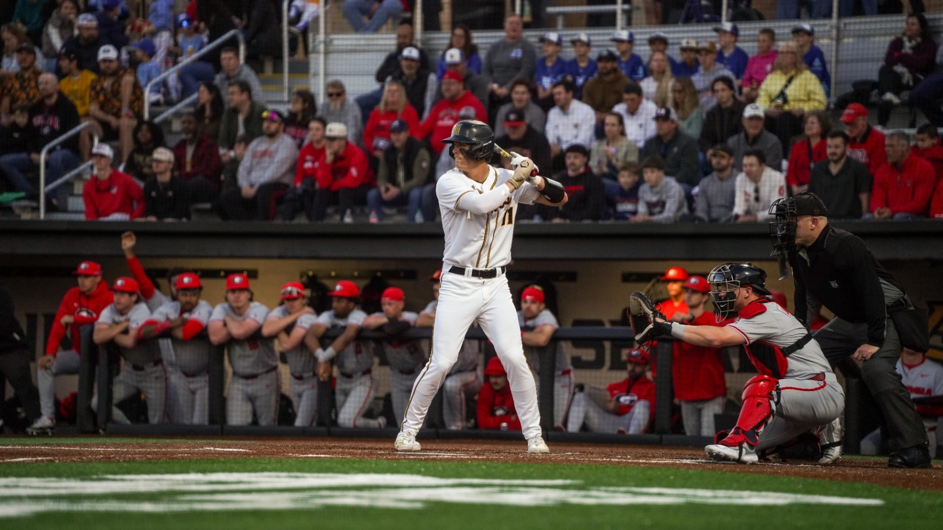 Trenton Lyons vs. Georgia