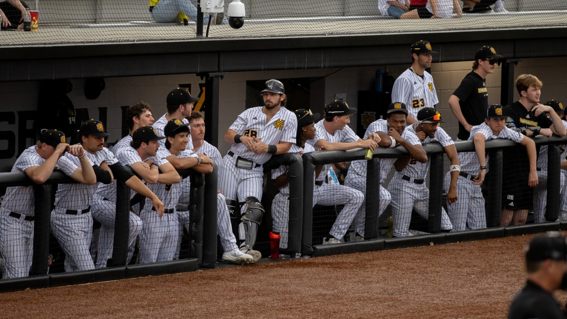 Team in dugout