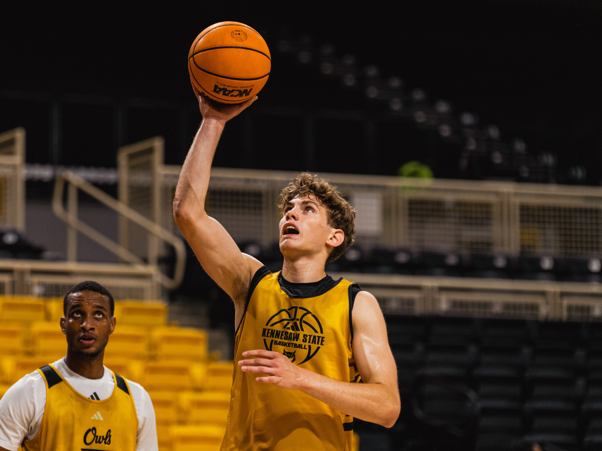 Levi Ball