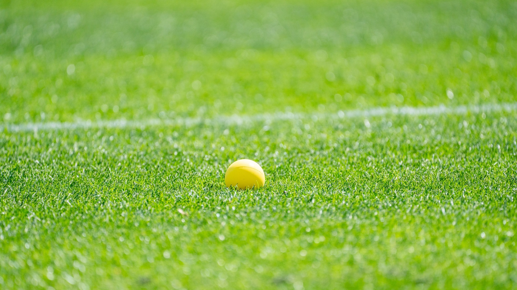 Lax ball on field