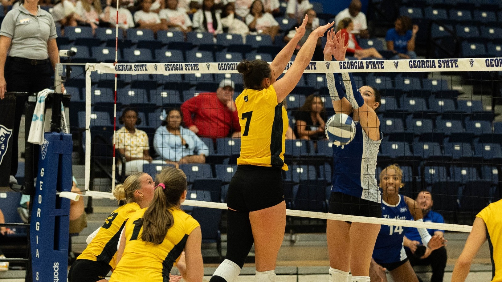 Owls at Georgia State