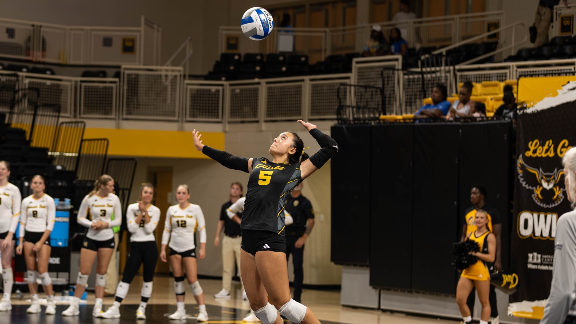 Alexis Sowers action