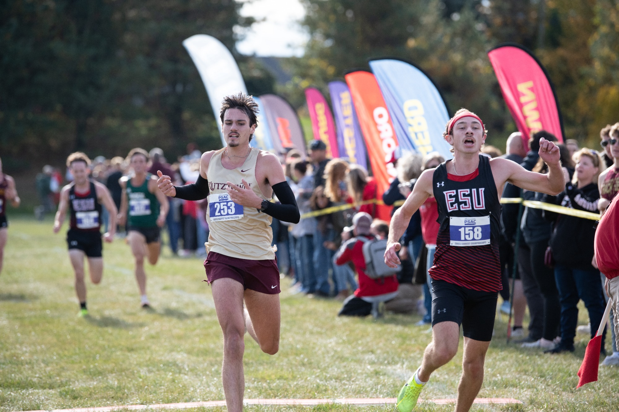 Adam Brocato of the Kutztown Men's Cross Country Team crosses the finish line at the 2024 PSAC Championships at Kutztown University, 10/26/24