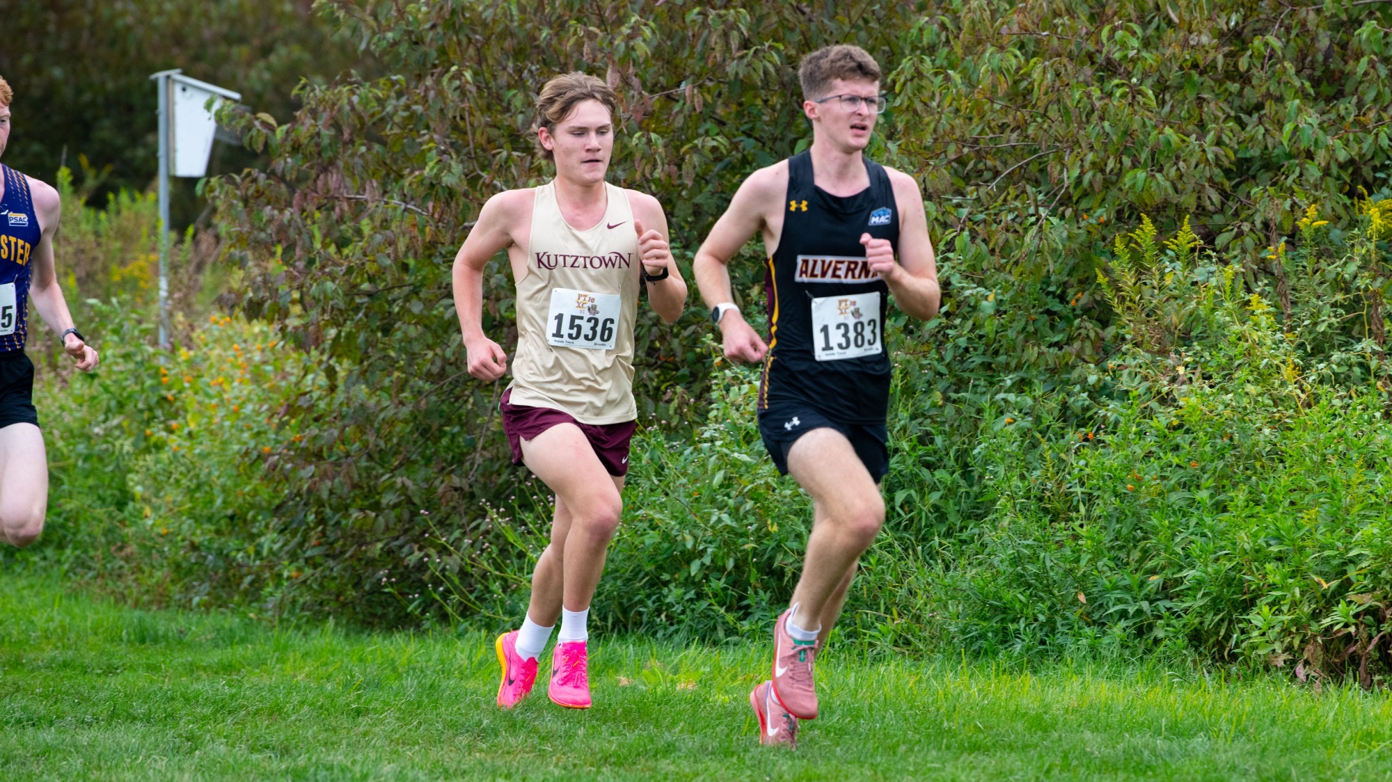 Weston Fry of the Kutztown University men's cross country team competes in the DII/DIII Challenge on Kutztown's North Campus Farm Loop, Sept. 13, 2025.