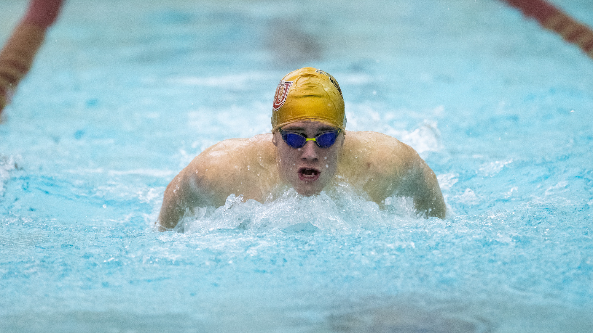Kutztown's RJ Otten swims the breaststroke leg of the 400 IM during a dual meet against Franklin & Marshall on Nov. 9, 2024.