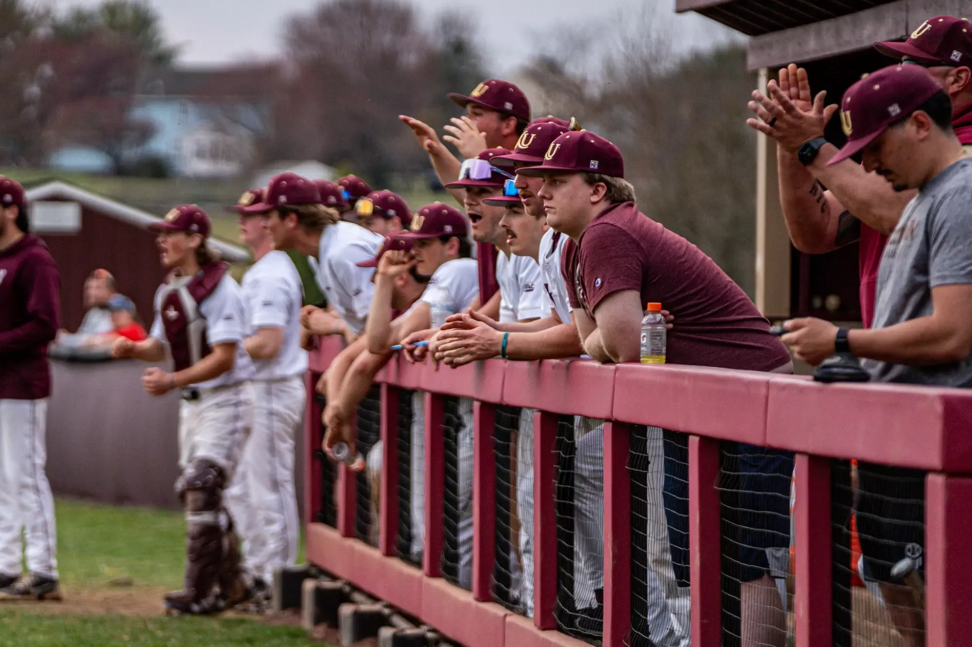 Team cheering from Kutztown dugout vs West Chester 032925