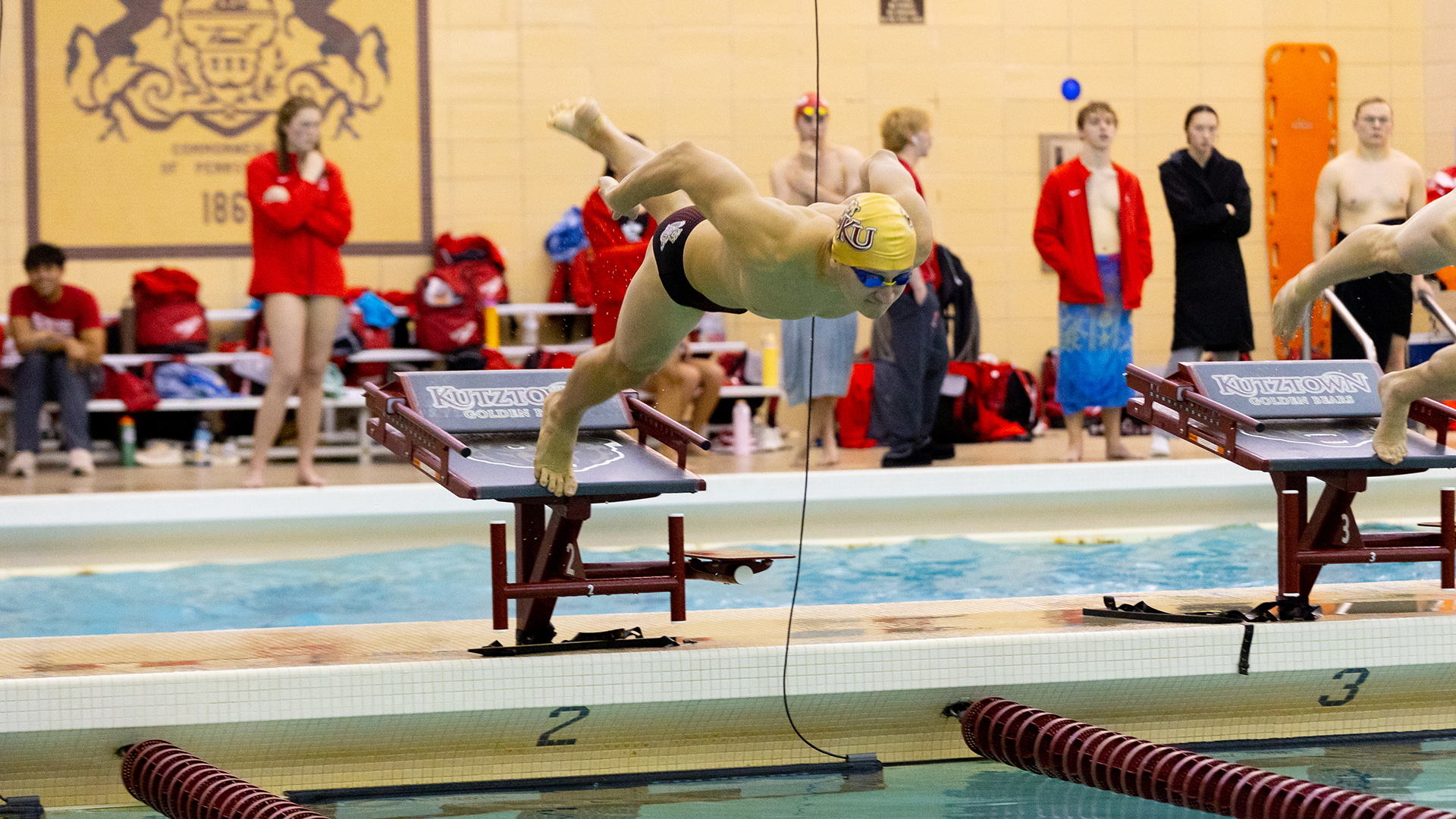 Matheson Bair dives into the pool while competing against Edinboro on 11/1/25