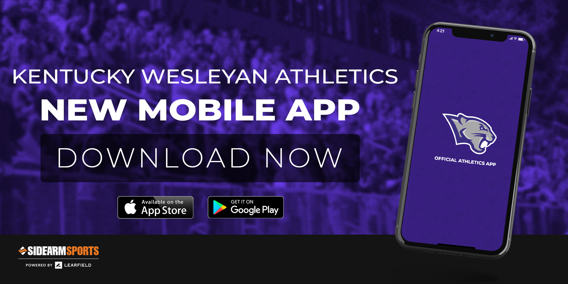 Mobile App story