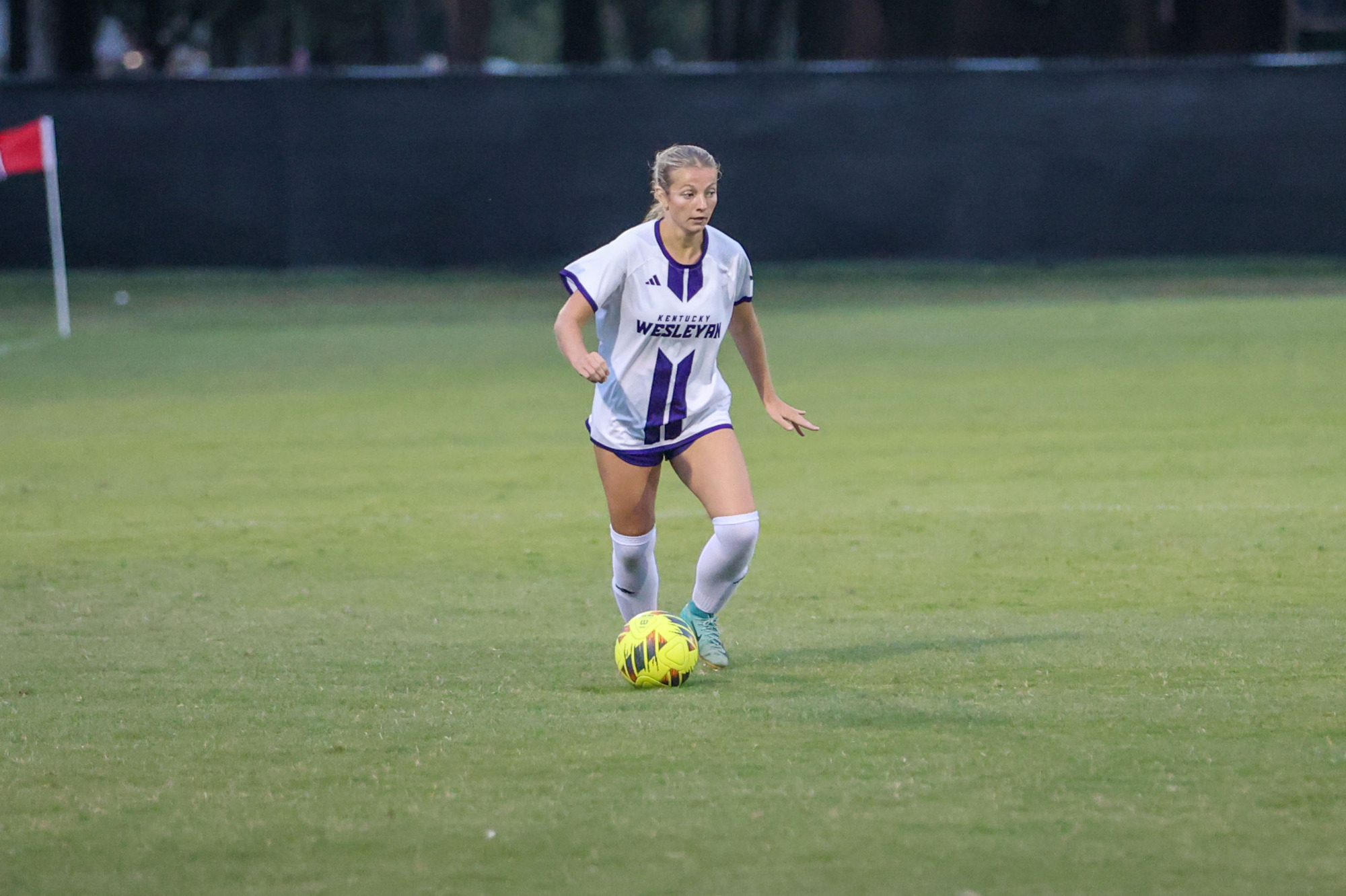 wsoc