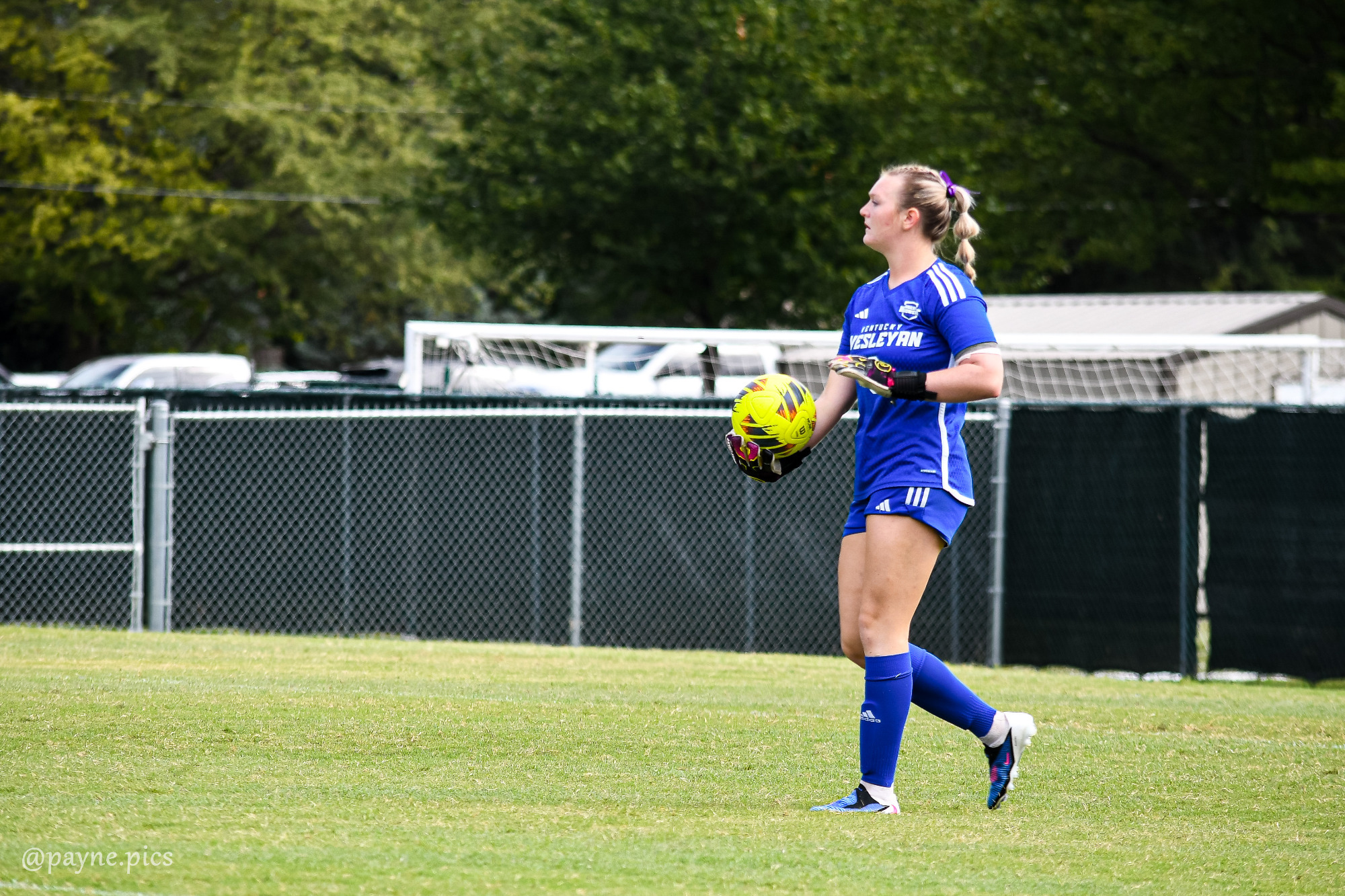 wsoc