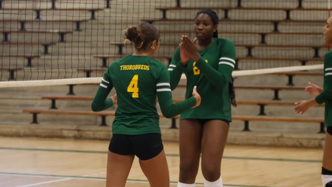 WVB