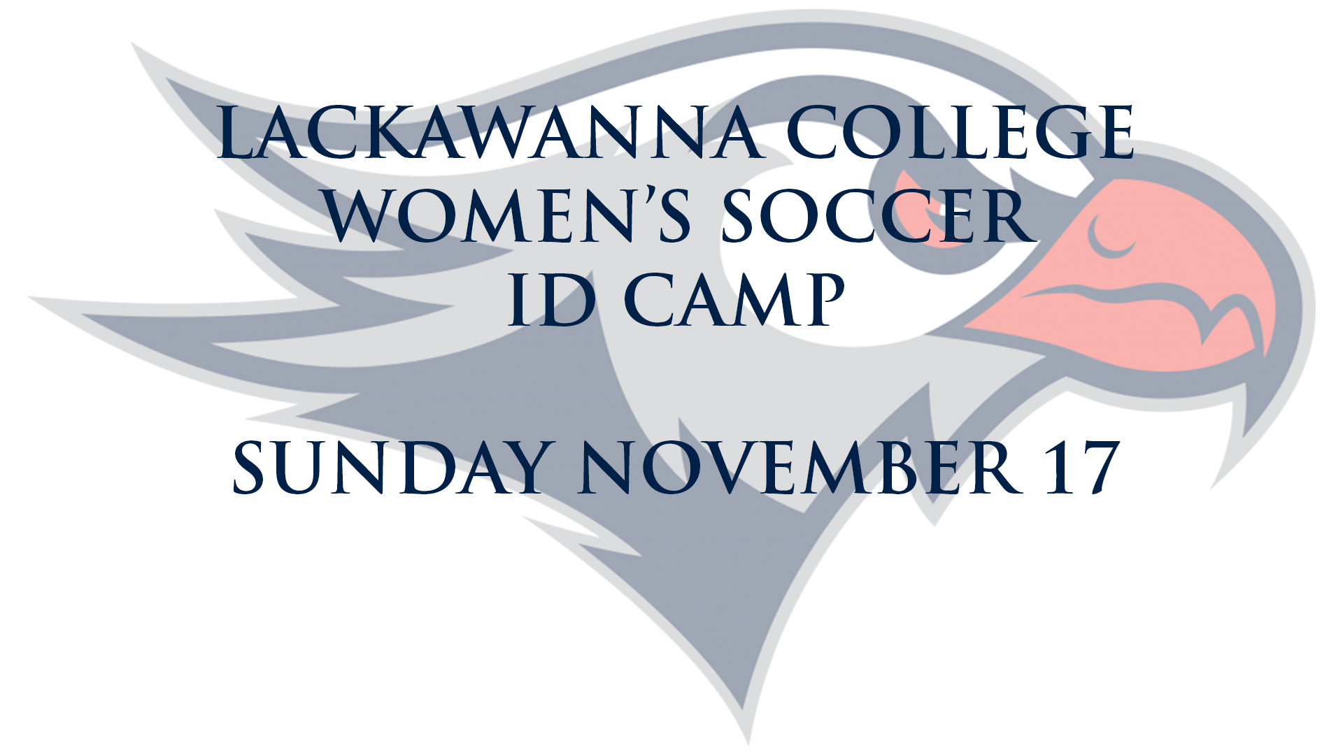 Lackawanna Women's Soccer ID Camp November 17th Lackawanna College