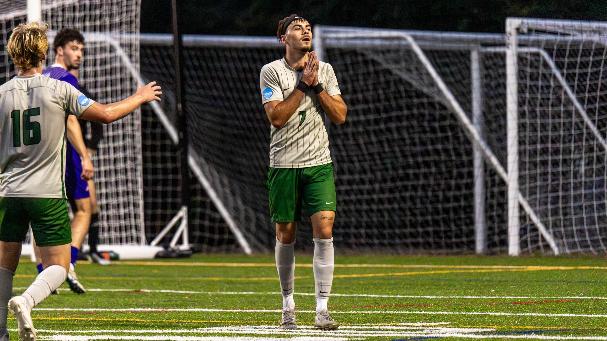 Dario Stadler - 2025 - Action