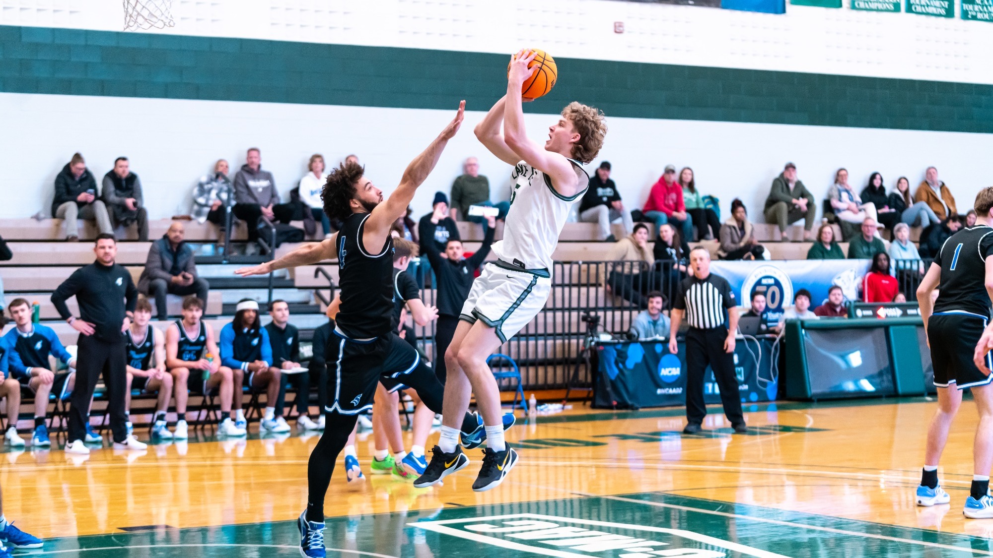 Rokas Castillo vs TMU - 1/31/2026