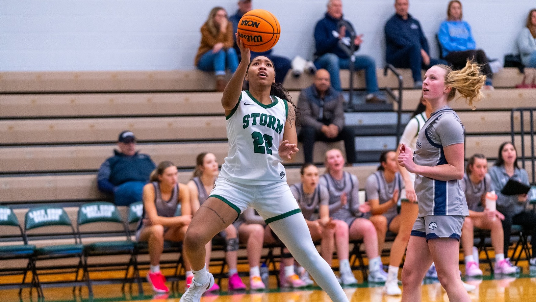 Jaicee Wallace vs Hilsdale - at Home