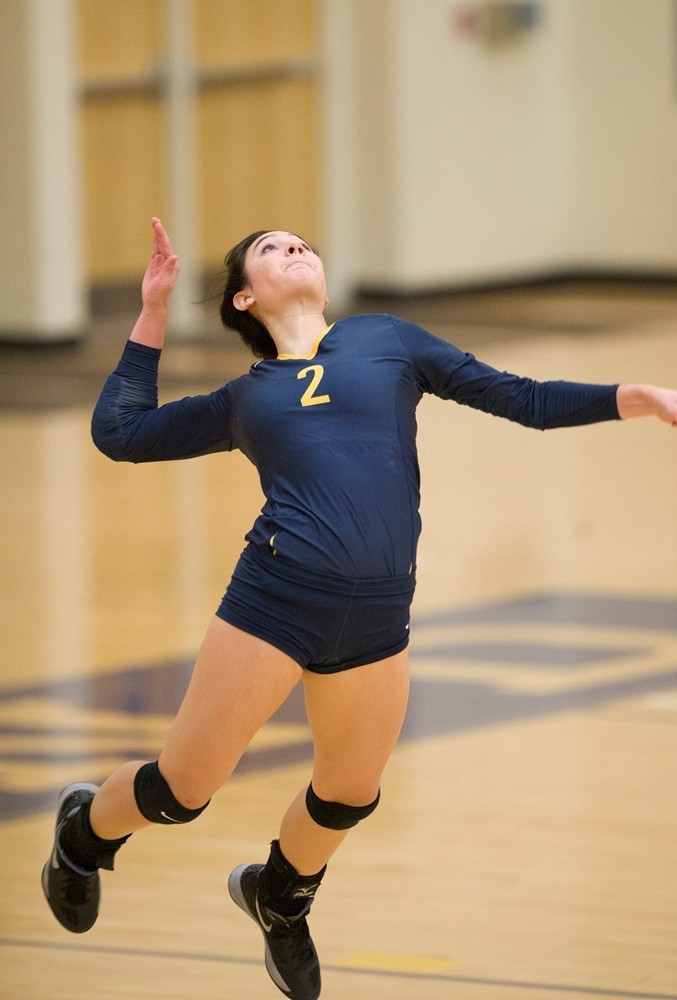 Caleigh Galvan 2015 Women's Volleyball Lakeland University Athletics