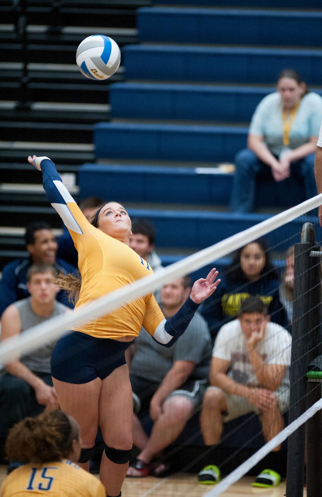 Allison Errthum 2017 Women's Volleyball Lakeland University Athletics